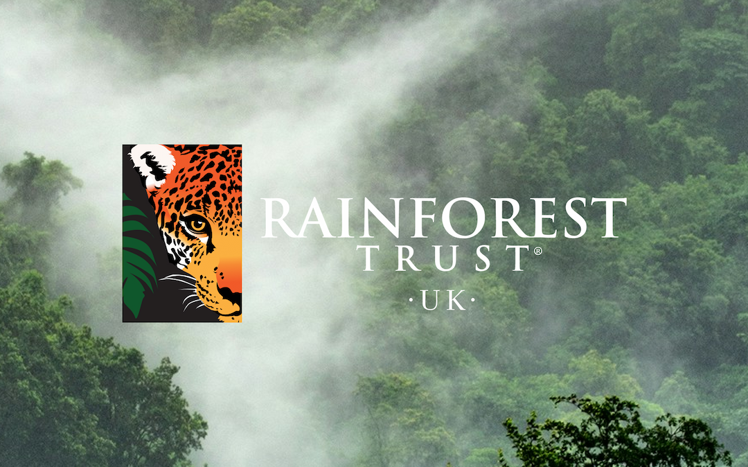 https://arma-karma-landing.s3.eu-west-2.amazonaws.com/blogs/rainforest trust uk charity forests.png
